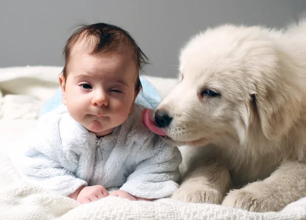 婴儿和小狗 图库照片