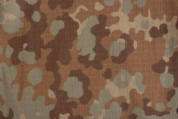 Höstlig kamouflage — Stockfoto