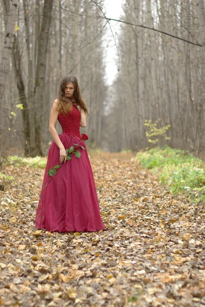 Girl with a rose in the forest — Stock Photo, Image