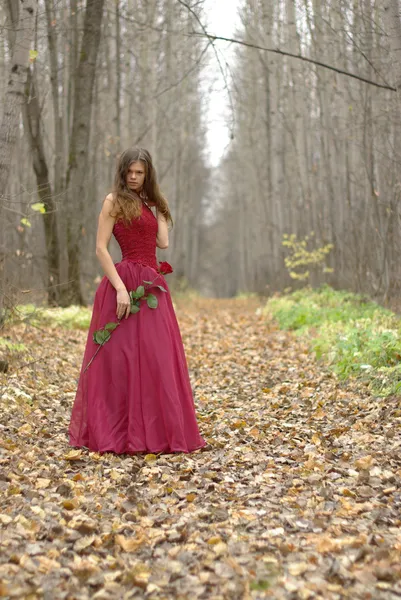 Dívka s růží v lese Royalty Free Stock Fotografie