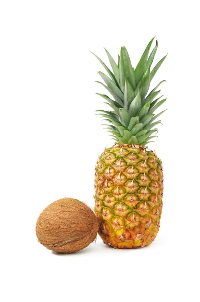 Kokosnuss und Ananas — Stockfoto