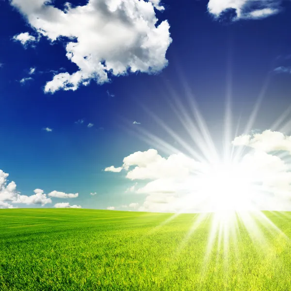 Field and sun Royalty Free Stock Images