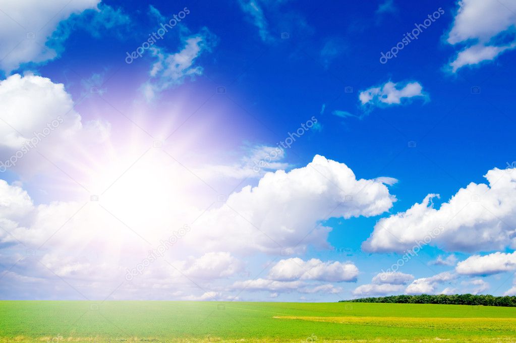 Field and sun