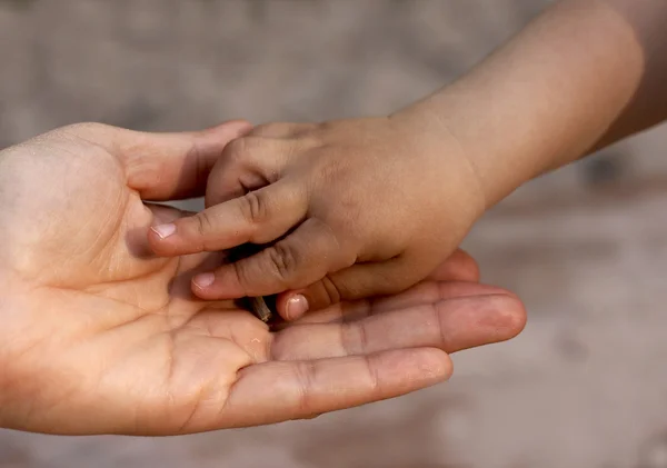 stock image Child`s Hand On Mother`s Hand