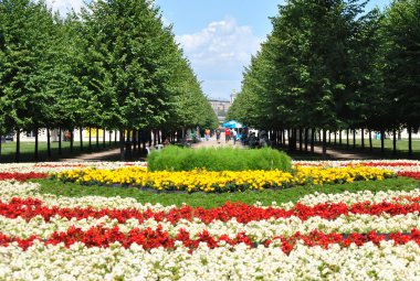 Şehir flowerbed