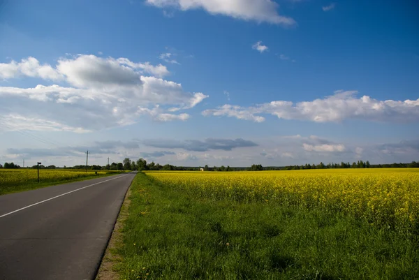 stock image Road