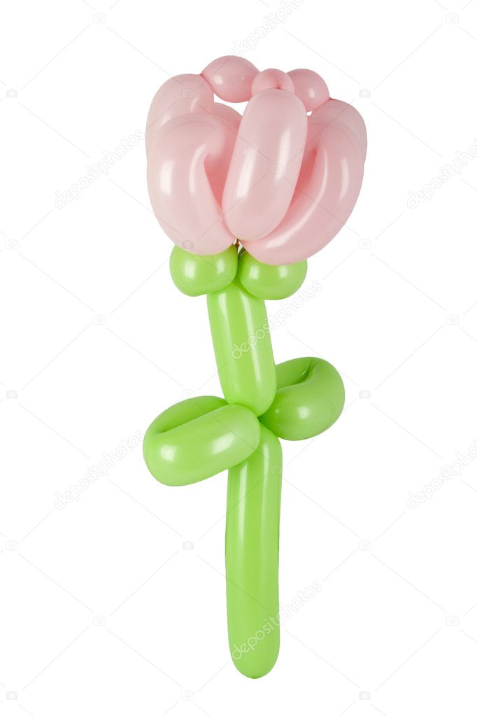 Pink balloon flower
