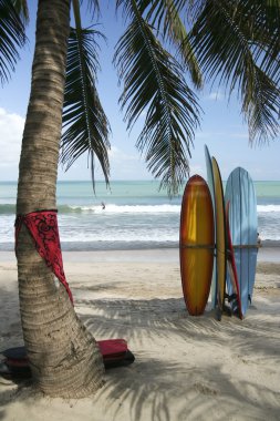 Bali boards surfing  kuta beach waves clipart