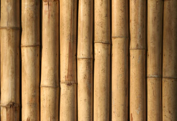 Bamboo wall  background philippines — Stock Photo, Image