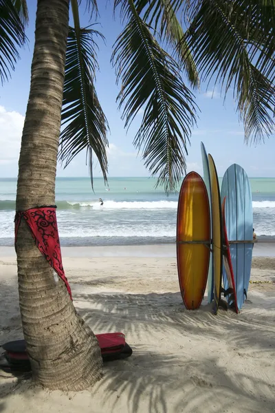 Bali tablas surf kuta playa olas —  Fotos de Stock