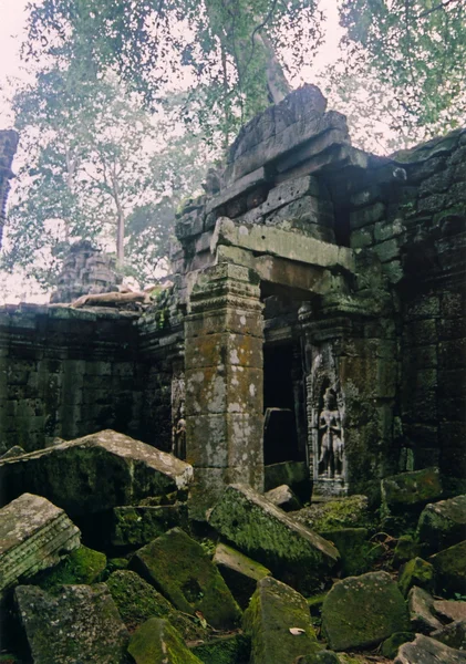 Angkor watt — Stock Photo, Image