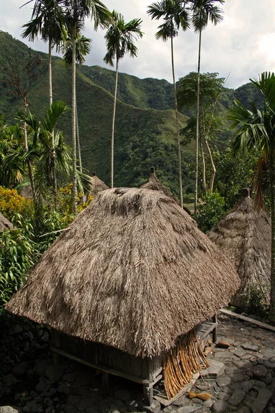 Ifugao huts — Stockfoto