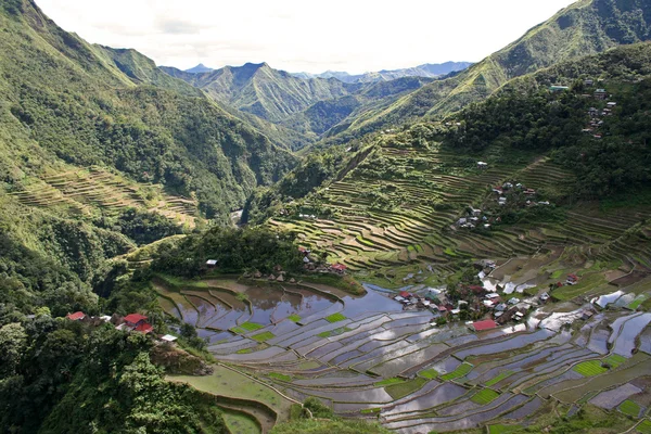 Batad landschap — Stockfoto