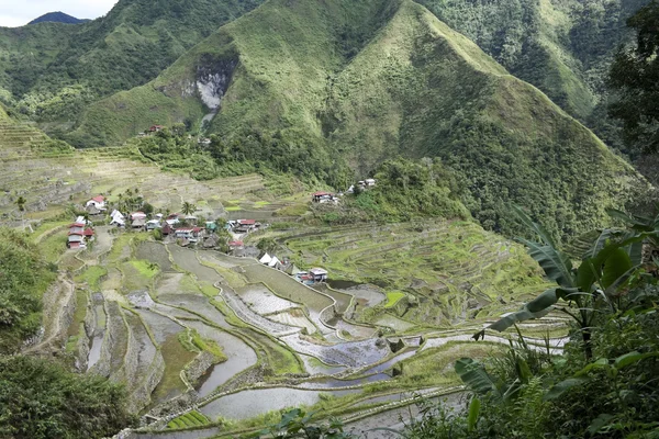 在菲律宾伊富高水稻梯田 batad — 图库照片