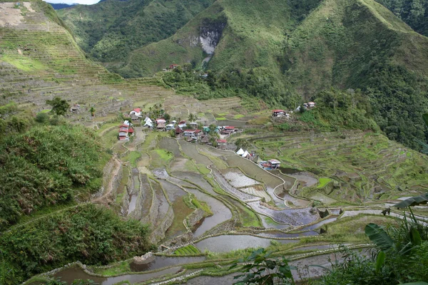 Terraços de arroz em lote ifugao filipinas — Fotografia de Stock