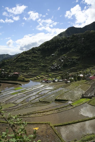 Ifugao pirinç terasları — Stok fotoğraf