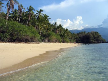 tropical beach jungle  puerto galera mindoro in the philippines clipart