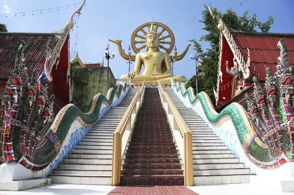 Buda grande — Fotografia de Stock