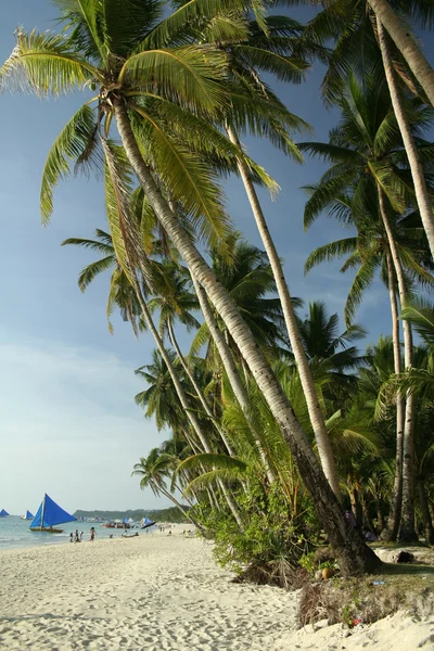 Boracay Island Strand Palmen — Stockfoto