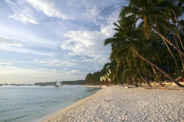 Boracay island beach palmy — Zdjęcie stockowe