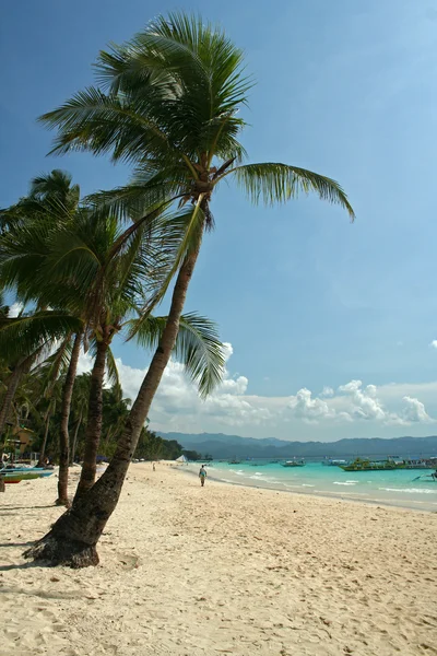 Boracay island beach palmy — Zdjęcie stockowe