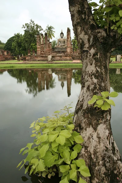 Reflected buddha — Stock Photo, Image