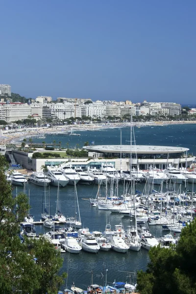 Cannes harbour yachts france — Stock Photo, Image