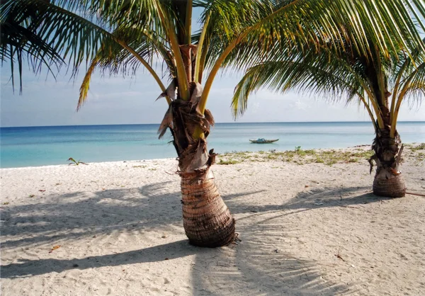 Paradise island — Stock Photo, Image