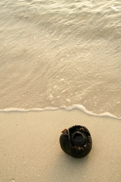 椰子波 — 图库照片