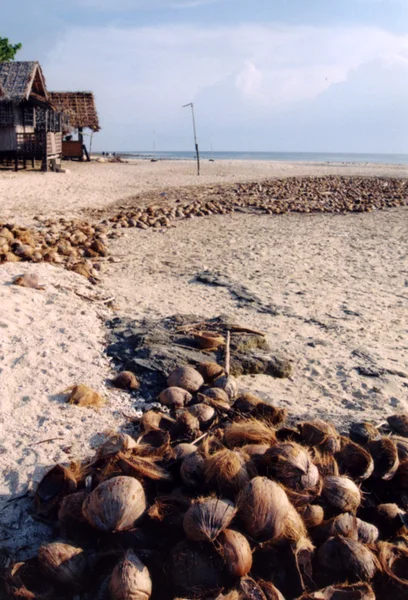 Coconut tide — Stock Photo, Image