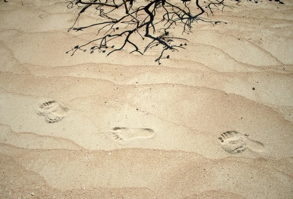 Pegadas no deserto — Fotografia de Stock