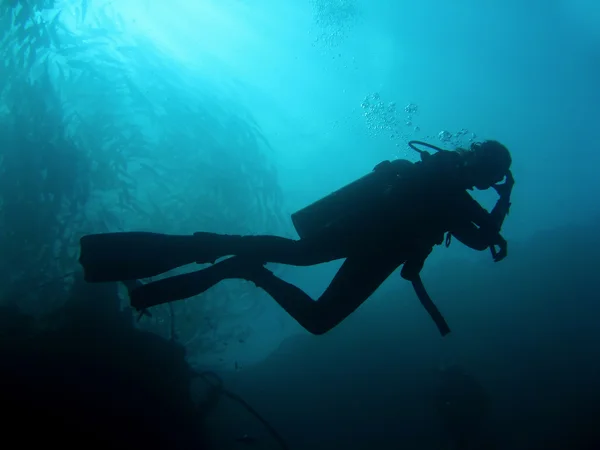 Potápěči silueta — Stock fotografie