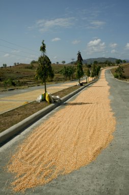 Grain highway clipart