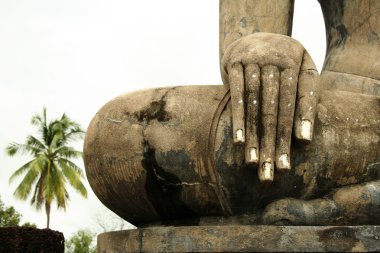 Hand of buddha clipart