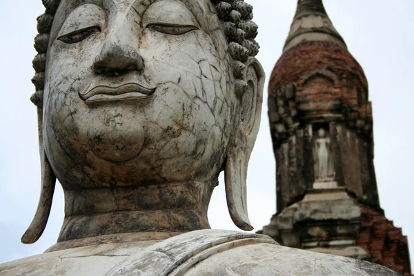 Buddhové hlava — Stock fotografie