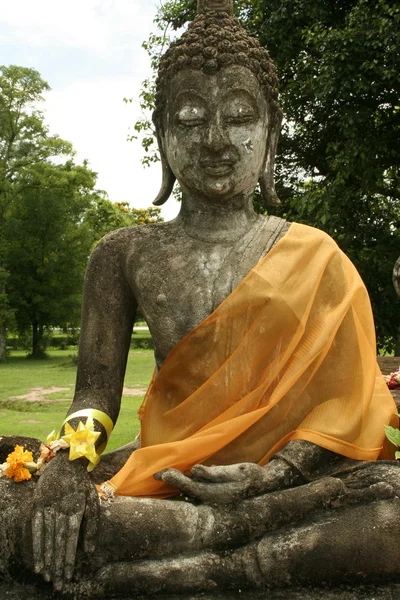 Сад Будди — стокове фото
