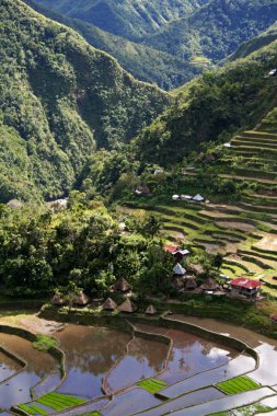 Ifugao village clipart