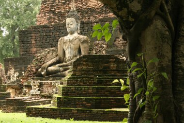 Jungle temple buddha sukhothai ruins thailand clipart