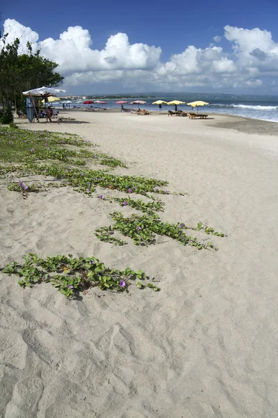Praia de kuta — Fotografia de Stock