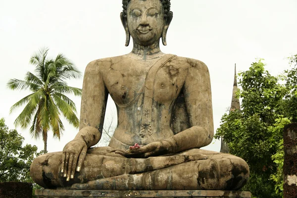 Розовая статуя Будды лотоса Сукхотай разрушила храм — стоковое фото
