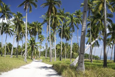 Malapascua island roads clipart