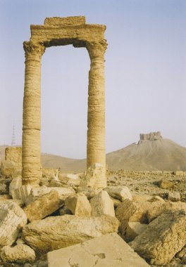 Palmyra