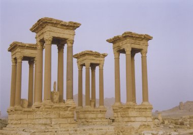 Palmyra