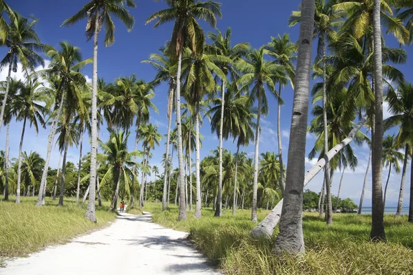 Estradas da ilha Malapascua — Fotografia de Stock