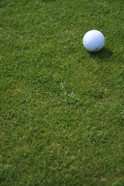 Bola golf — Stok Foto