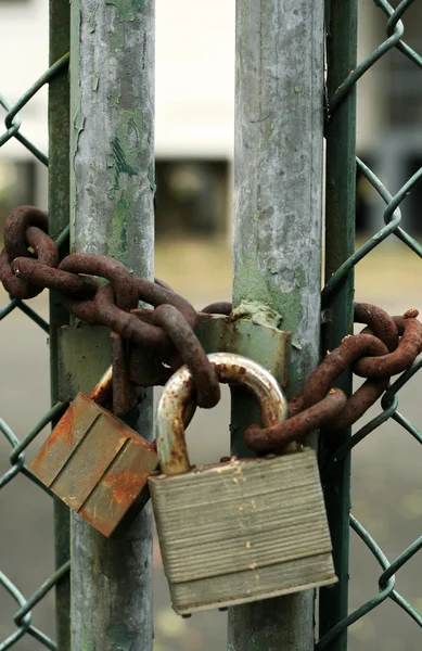 stock image Padlocks