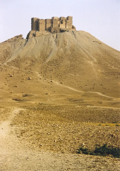 Palmyra — Stock Photo, Image