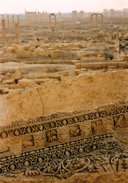 Palmyra horizon — Stockfoto