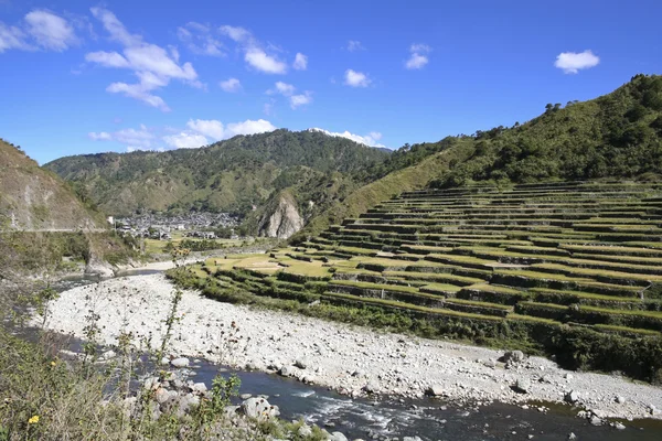Terrazze di riso filippine settentrionali — Foto Stock