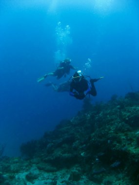 Scuba divers clipart